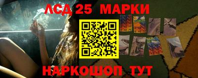 гашик Жуковский