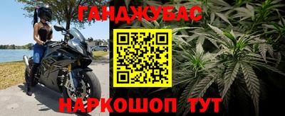 амф Заволжье