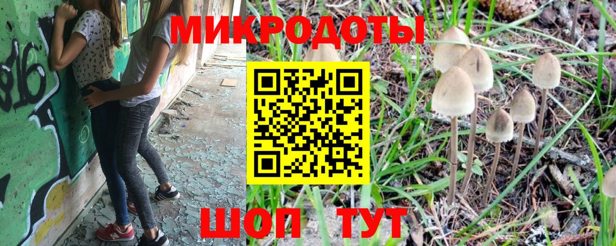 Заволжье  Галлюциногенные грибы GOLDEN TEACHER  Вход с VPN  Галлюциногенные грибы прущие грибы 